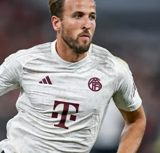 用和规则 用和规则